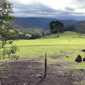 MOTHERS INTENSIVE TRAINING